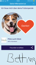 feed a dog app herunterladen