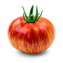 Tomaten-Samen - Alte Sorten - samenfest & biologisch