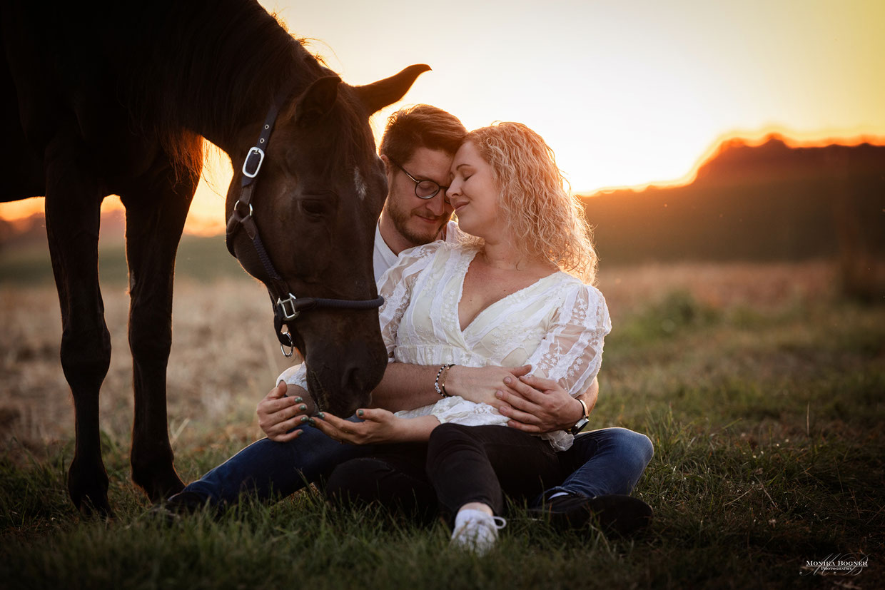 Shooting im Frühling, Warmblut, Dressurpferd