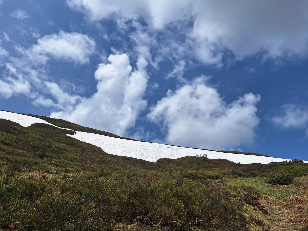 Col de Berbeillet - 24 avril !