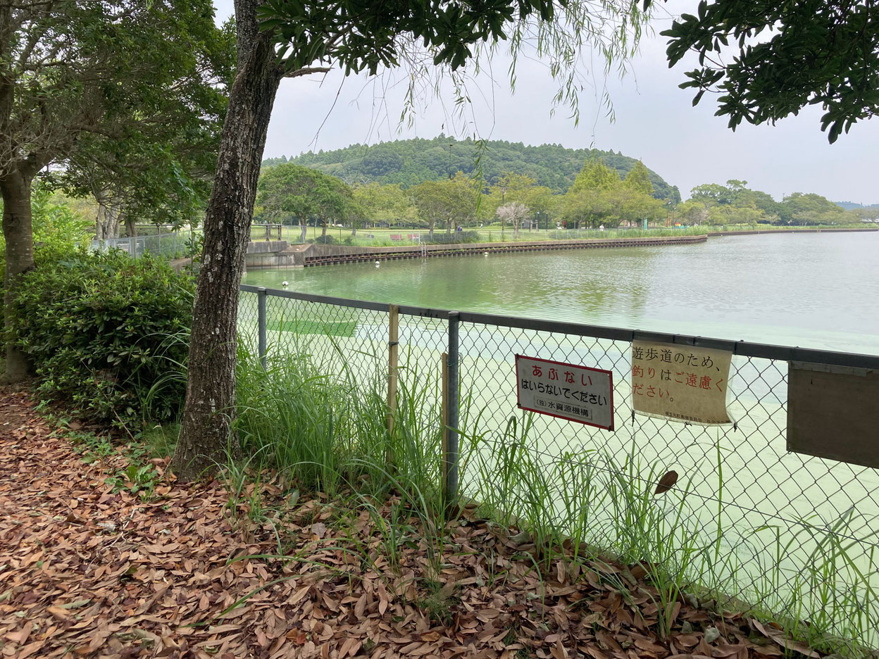 失われ行く氾濫原 千葉 市原市の造園 庭づくり 植木の手入れは武田屋作庭店へ