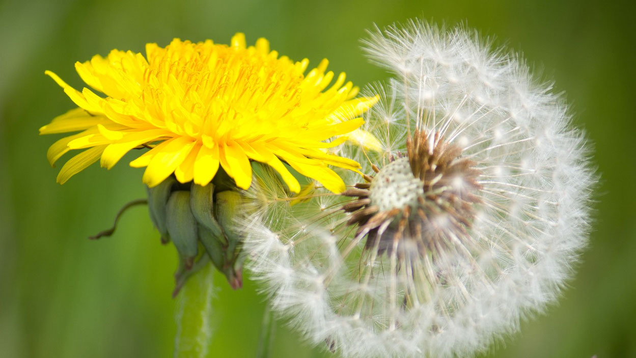 Foto: canva.com