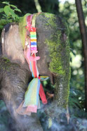 Thailand Img 4476