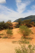 Provence Img 2735