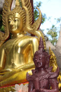 Thailand Img 4299