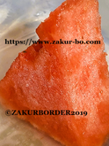 ＺＡＫＵＲＢＯＲＤＥＲ（サクールボーダー）のブログボーダーコリーＭ＆Ｅ２０２５０８０４使用画像１