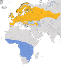 Karte zur Verbreitung der Gartengrasmücke (Sylvia borin)