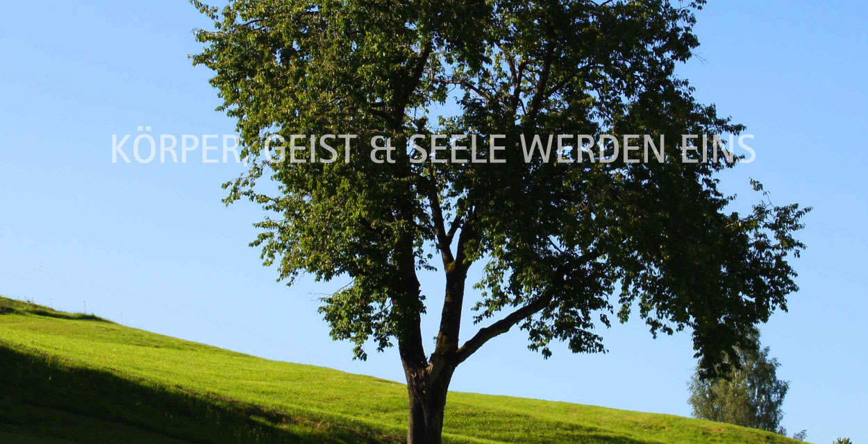 Atemraum Allgäu, Atem, Therapie, Atemarbeit, Atembehandlungen, Einzelbehandlungen, Gruppen, Atemgruppen. Atemarbeit nach Herta Richter mit Eva-Maria Gehring, Atempädagogin, Allgäu, Burgberg, Sonthofen