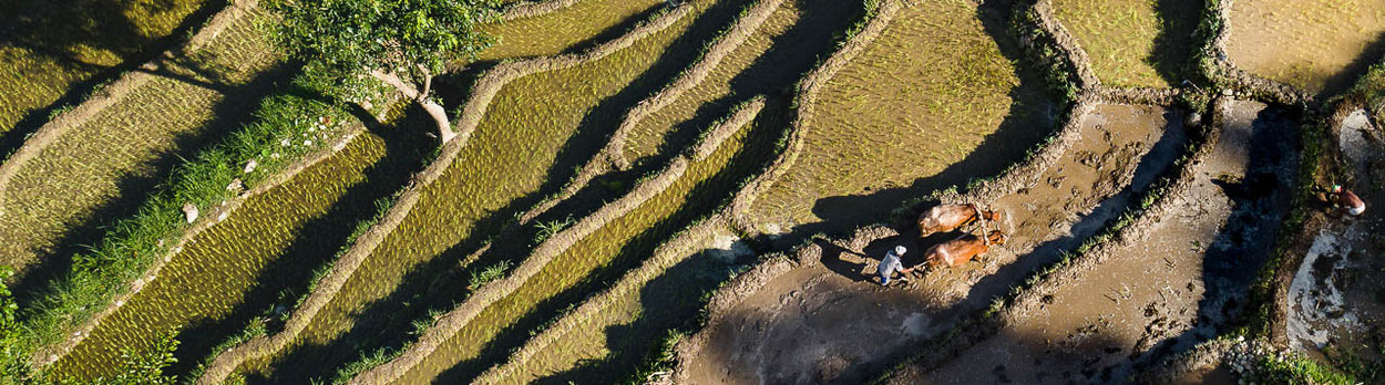 Lodgtrekking Panoramabliche und Landleben