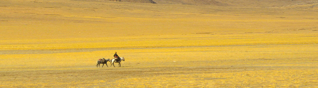 Privatreise in Ladakh als Trekking oder mit Gipfelbesteigung