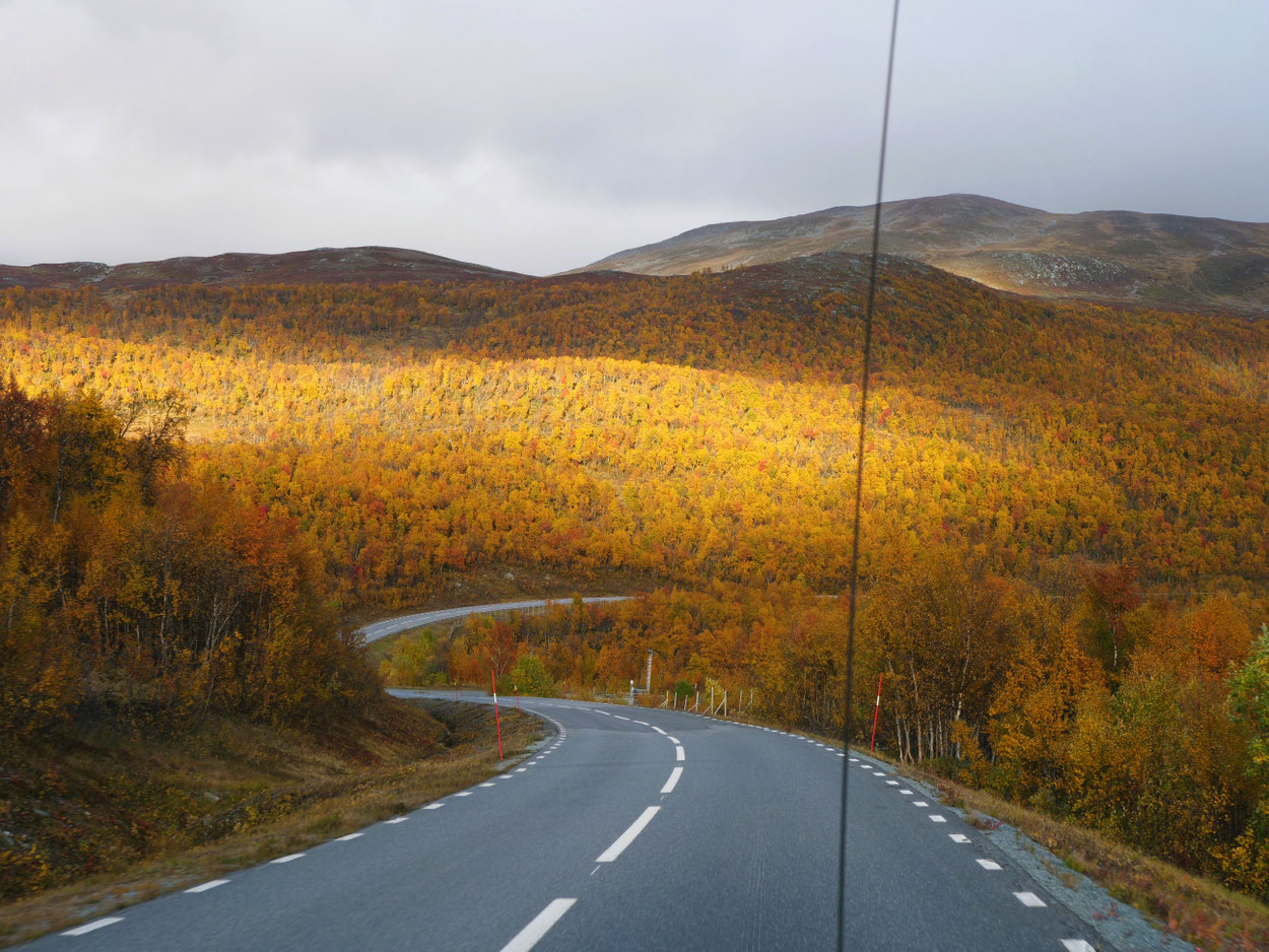 Schweden overland Travel Camping #ProjektBlackwolf Skandinavien wolf78 explore without no limits roadtrip offroad Overlandingnomads Overlandbound wolf78-overland.ch