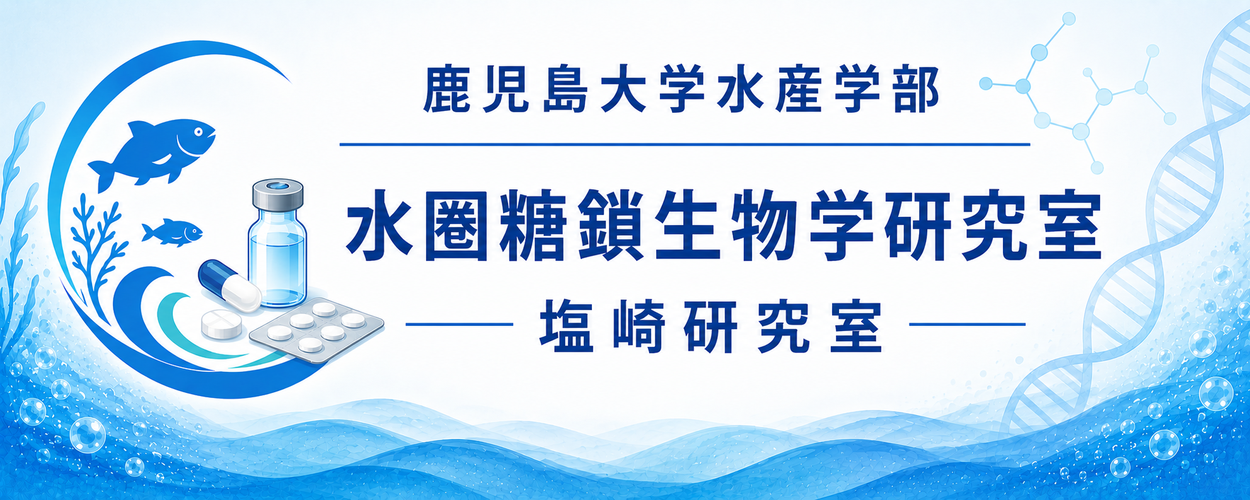 鹿児島大学水産学部塩崎研究室（水圏糖鎖生物学）