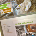 Druckatelier46 - Linkfoto Agro-Widmer - Gestaltung Webseite