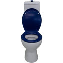 Bella Care Toilet With Blue Raised Button & Blue Seat , WELS 4 star rating, 4.5/3L