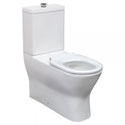 DELTA CARE 800 Back-to-Wall Suite, White Seat, Raised Buttons, WELS 4 star rating, 4.5/3L