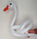 #0327 白鳥 swan