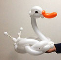 #0312 白鳥 swan