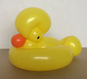 #0173 アヒル duck