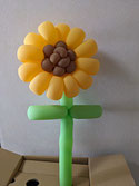 #0596 向日葵 sunflower