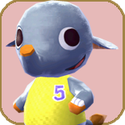 ACNL_bouton_pachy
