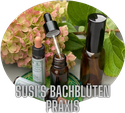 susis-bachbluetens Webseite!