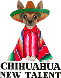 Chihuahua talentos jóvenes logo
