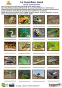 Jeu découverte de la faune