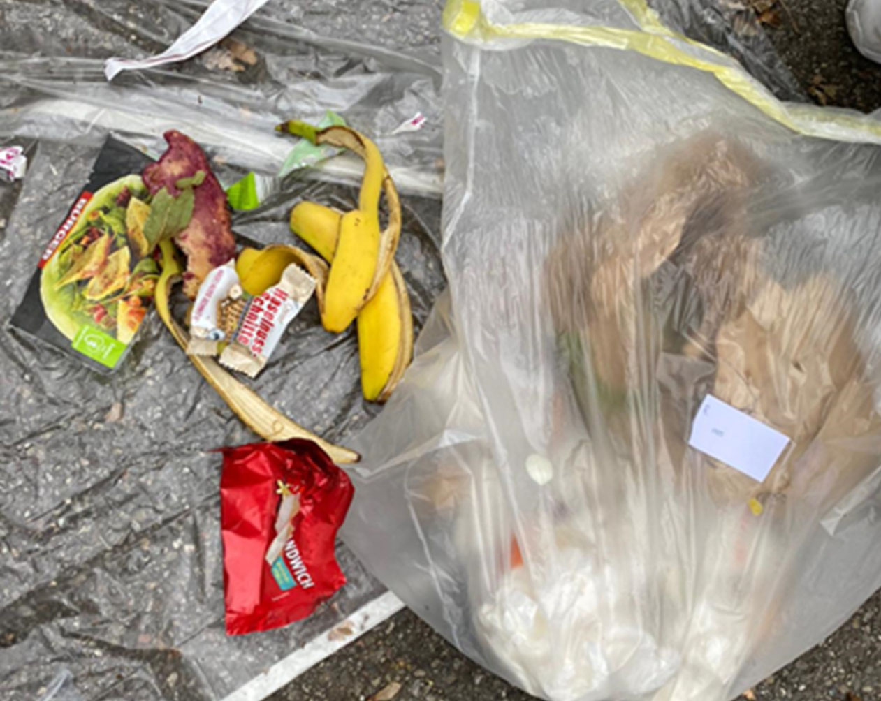 Bananenschale im gelben Sack: einer von insgesamt 3.791 Fehlwürfen im Studienzeitraum. | Bildquelle: Universität Hohenheim / Eva Pawelczyk