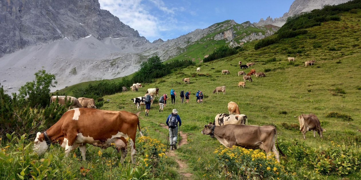 Frühmorgens startete die Wanderung zur nächsten Hütte. Foto: © Judith Schwickerath