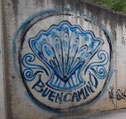 meincamino2018-2020s Webseite!