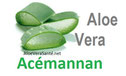 Acemannan un des secrets de l'aloe vera
