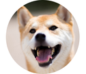在犬数　1　頭