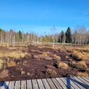Das Hochmoor in der Winterruhe. Foto Robert Etter