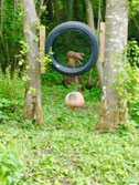 3-D Parcours