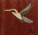 Magnet Colibri carré - 5x5