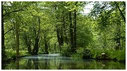 Plätze für eine Spreewald Kahnfahrt am Kleine Hafen buchen als Last Minute