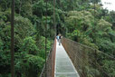 Combo Canopy & Arenal Hanging Bridges