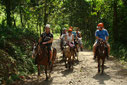 Horseback riding to La Fortuna Waterfall + Canopy Tour