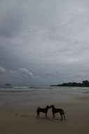 Thailand Img 5005