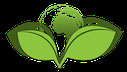 HS-Technik goes green