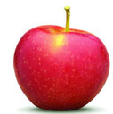 fruit : oefenen op woordenschat en lidwoord