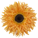 Spider Gerbera Bambu
