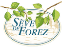 Sève de forez┃Sève de Bouleau Bio & Fraîche┃Loire Forez (42)