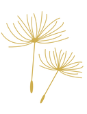U-life unify life Hypnose Pusteblume Illustration