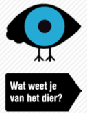 dierenzoeker