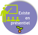 formation Instagram en présentiel