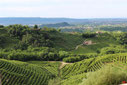 Montello e i Colli Asolani: