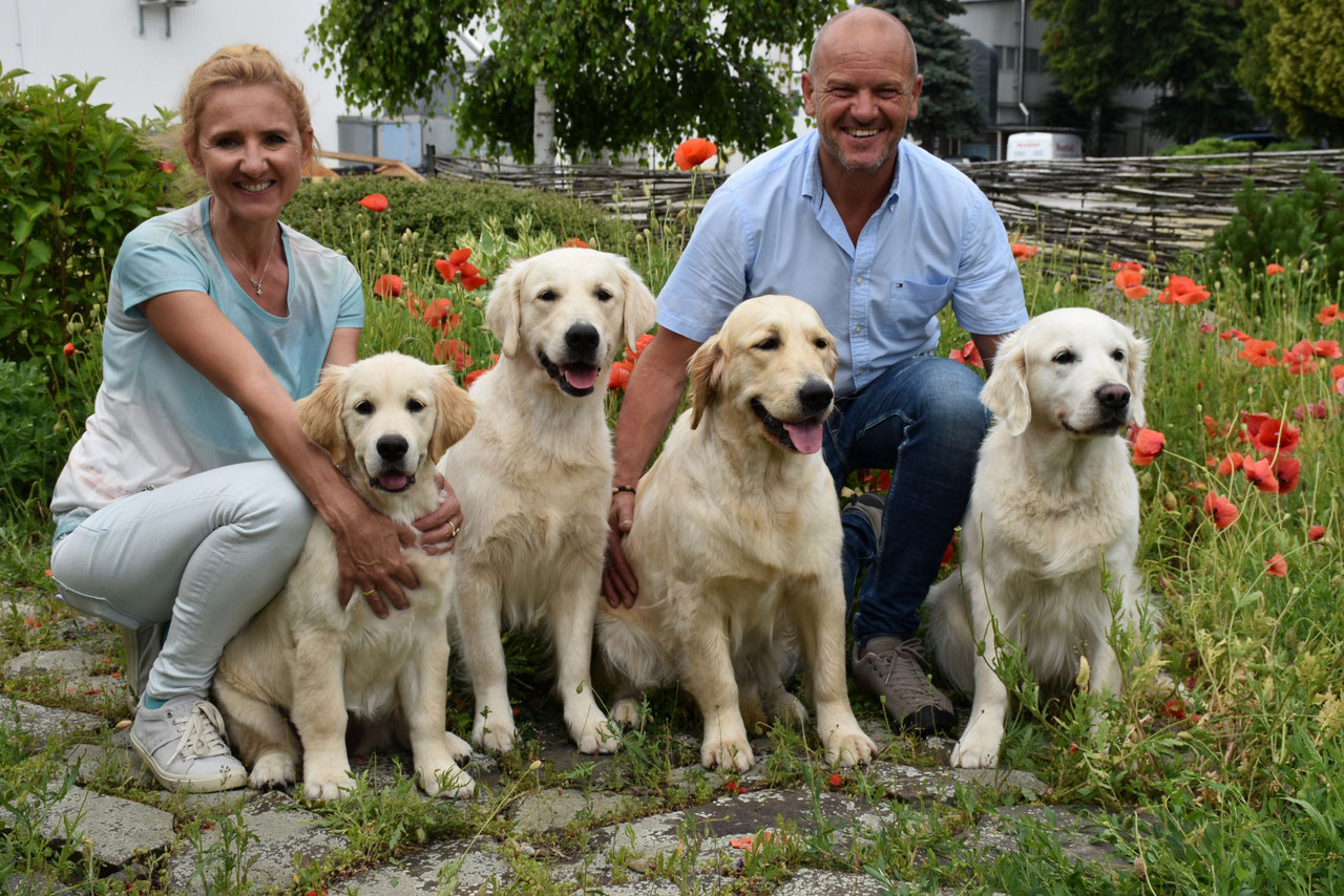 Archiv News 2016 - Image