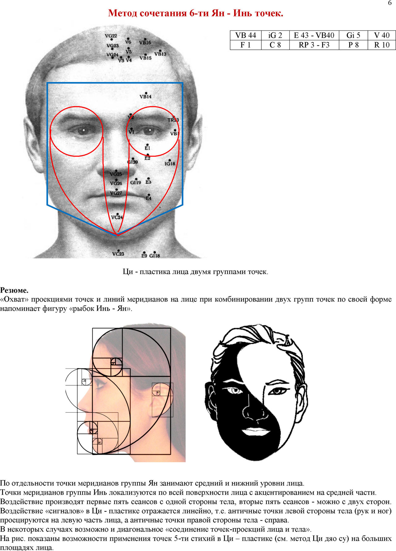 Меридианы на лице человека. Проекция лица. Площадь лица. Площадь лица человека