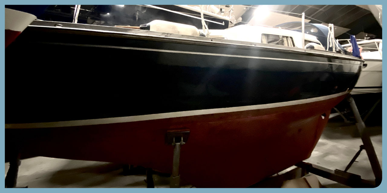 Great Dane 28